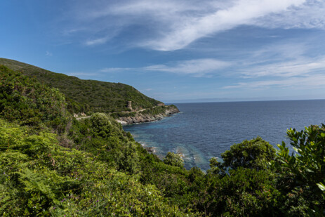 Cap Corse