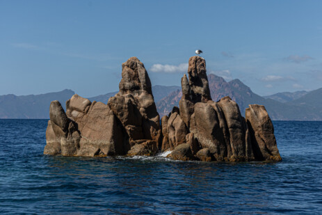 Bootstour in Naturschutzgebiet La Scandola