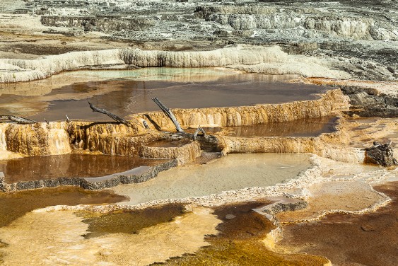 Mammoth Hot Springs im Yellowstone NP