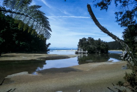 Abel Tasman Coastal Track