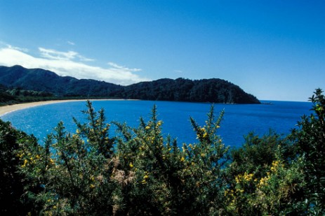 Abel Tasman Coastal Track