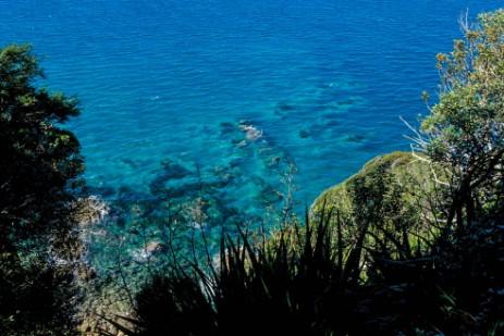 Abel Tasman Coastal Track