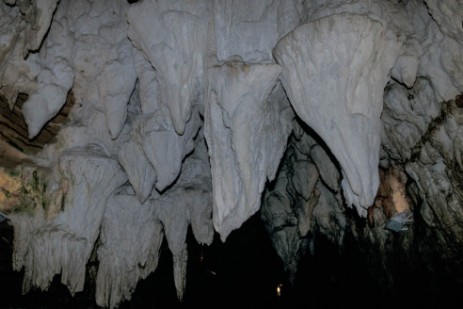 Waitomo Caves