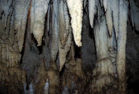 Waitomo Caves