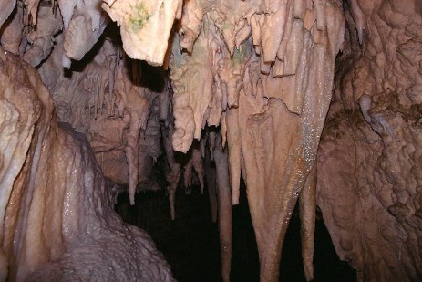 Waitomo Caves