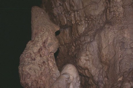 Waitomo Caves