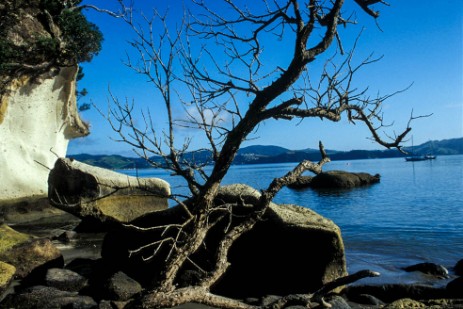 Coromandel Peninsula