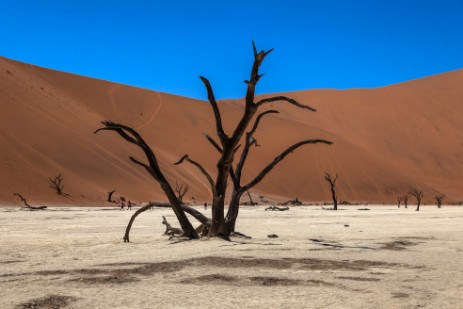 Deadvlei im Namib-Naukluft Nationalpark in NamibiaDeadvlei im Namib-Naukluft Nationalpark in Namibia