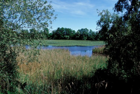 Altarm der Donau in Niederbayern