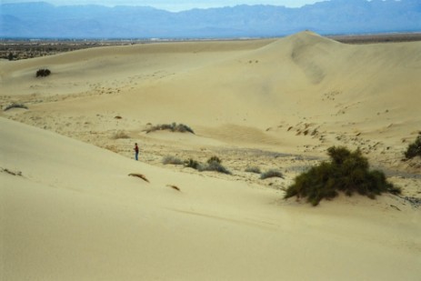 Dünen im Osten der Baja California