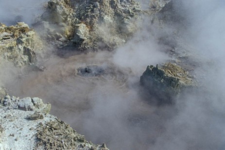 Thermalgebiet Hells Gate in Neuseeland