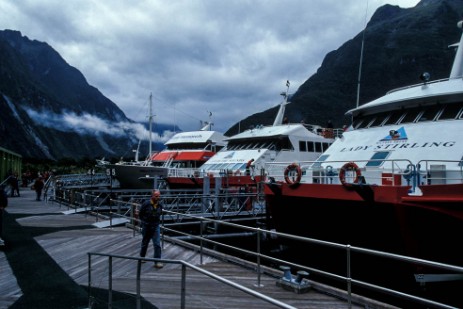 Boote am Milford Sound