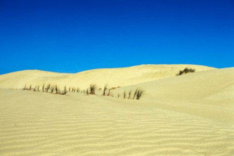 Ninety Mile Beach