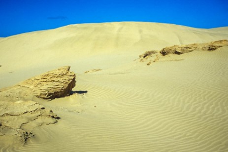 Ninety Mile Beach