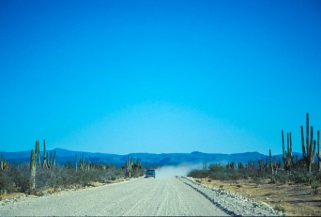 Piste zur Laguna San Ignacio in Baja California