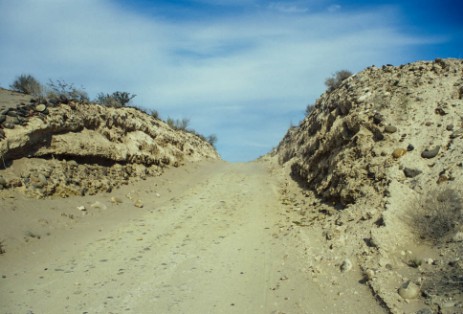 Piste zur Laguna San Ignacio in Baja California