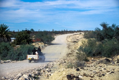 Piste in Baja California