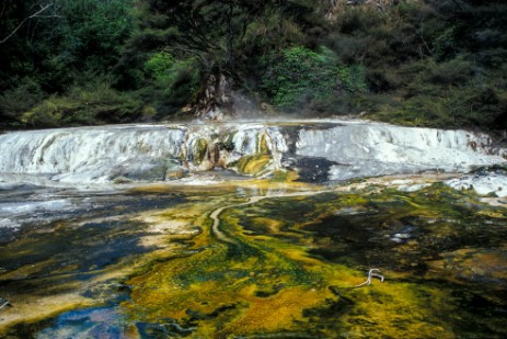 Waimangu Thermal Valley