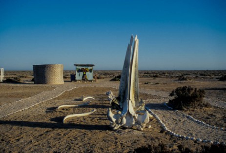 Campingplatz in Laguna San Ignacio