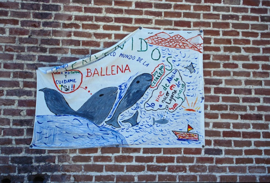 Kinderzeichnung zu Schutz von Walen in Baja California